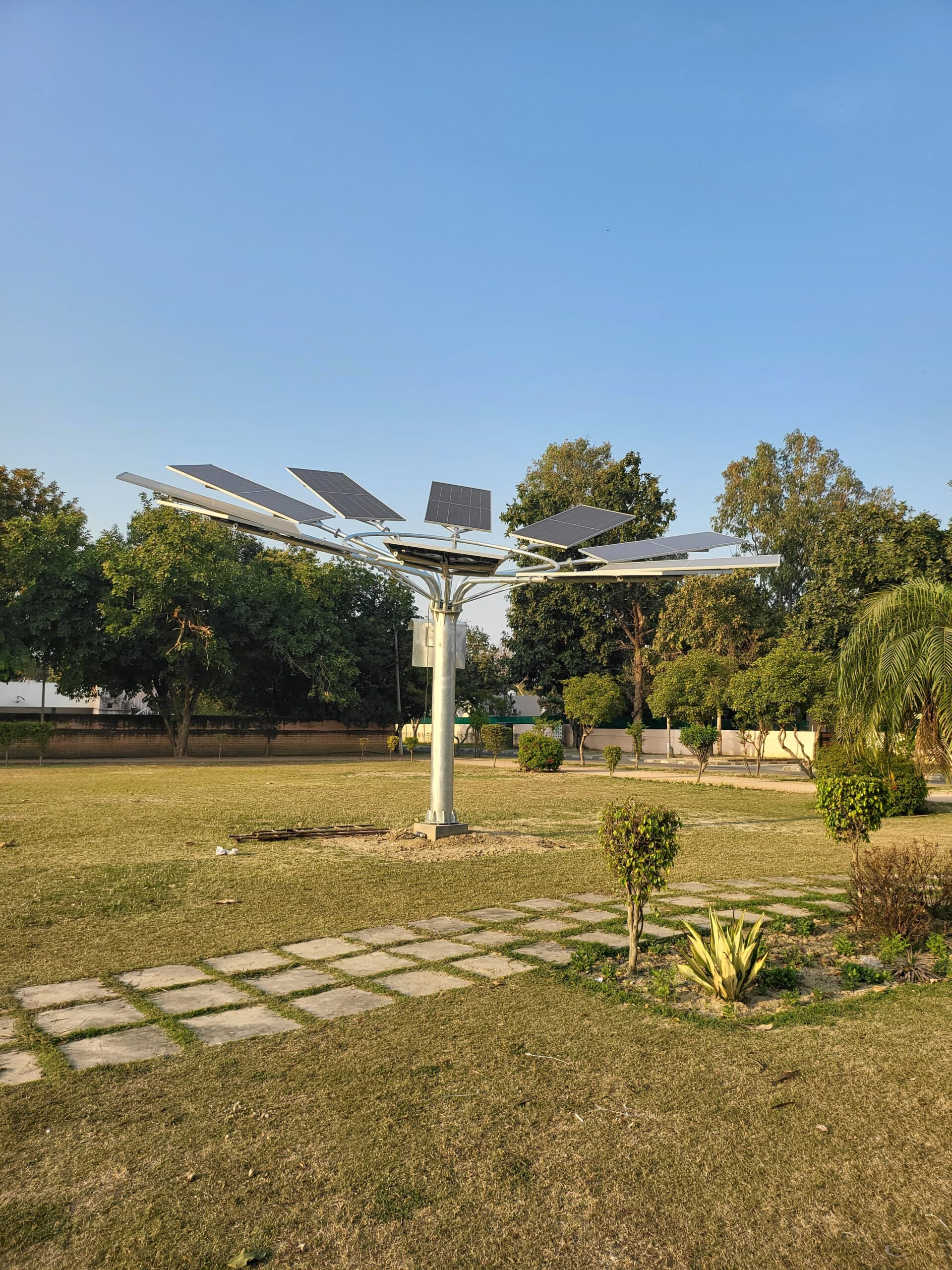 Solar Tree Installations