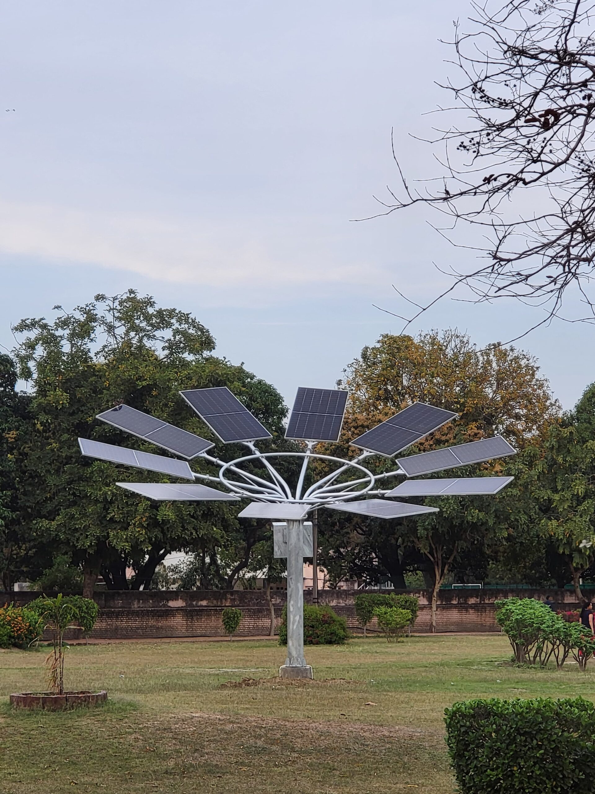 Solar Tree Installations
